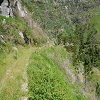 Plants: image 18 Of 208 Thumb